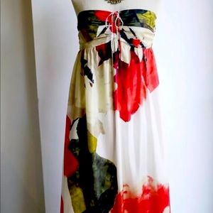 COPY - Zara Silk Maxi Strapless Dress NWT